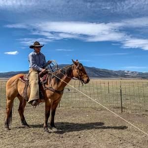 Meet your Posher, Trevor